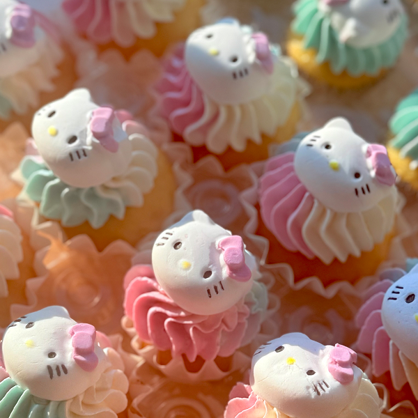 Mini Cupcakes – Small in Size, Big on Delight