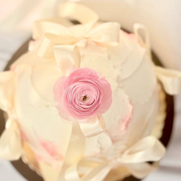 The Dome Cake – A Sculptural Showpiece for Any Celebration
