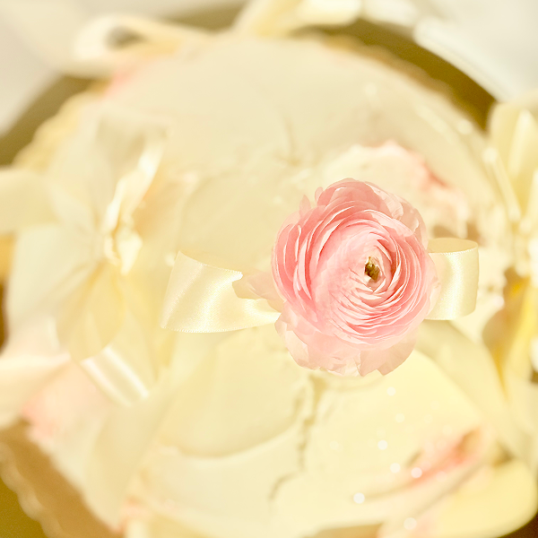 The Dome Cake – A Sculptural Showpiece for Any Celebration