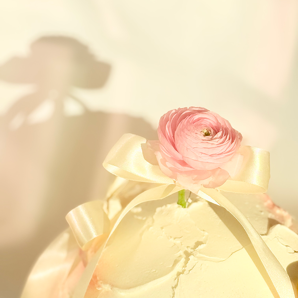 The Dome Cake – A Sculptural Showpiece for Any Celebration